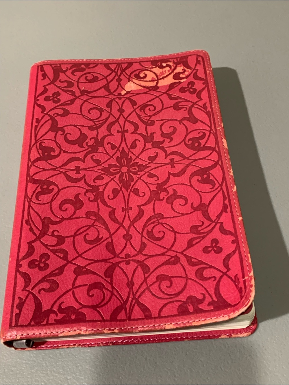 Holy Bible